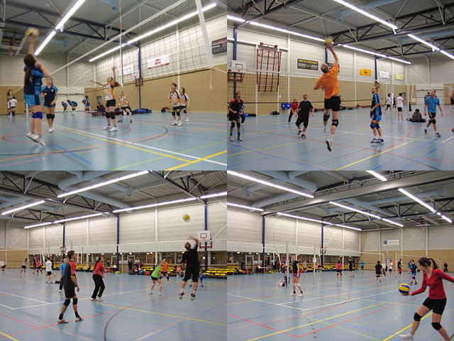 volleyball rotterdam west